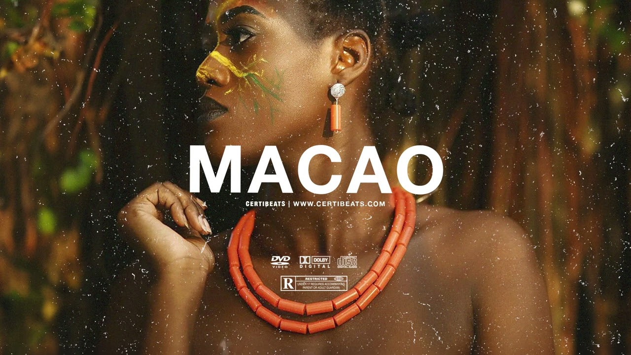 (FREE) B Young ft Rema & Tiwa Savage Type Beat "Macao" | Free Beat | Afrobeat Instrumental 2024 2