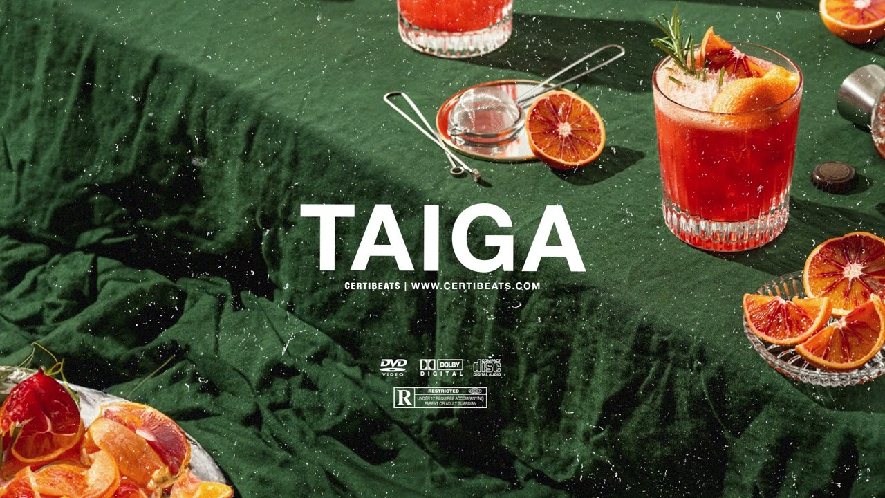 (FREE) Rema ft B Young & Tiwa Savage Type Beat "Taiga" | Free Beat | Afrobeat Instrumental 2024 2