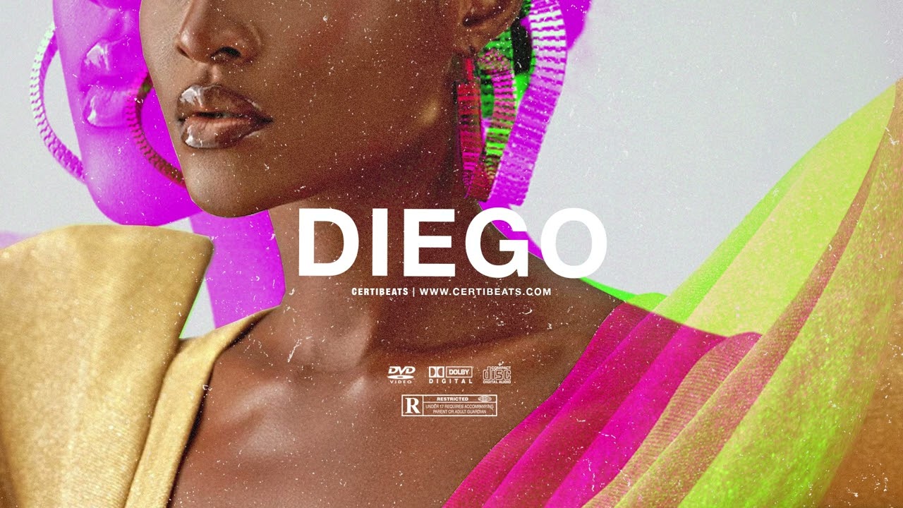 (FREE) B Young ft Tems & Omah Lay Type Beat "Diego" | Free Beat | Afrobeat Instrumental 2024 2