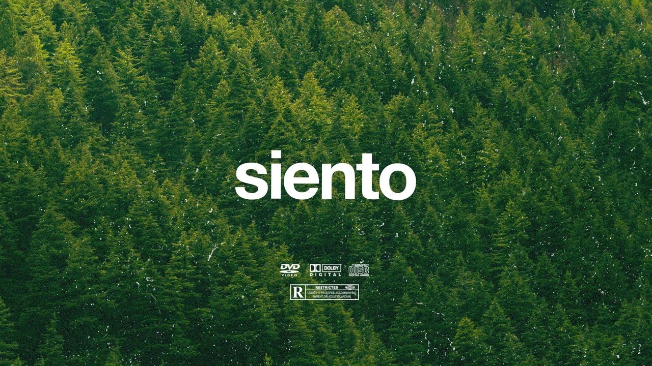 (FREE) | "Siento" | B Young ft Tems & Tiwa Savage Type Beat | Free Beat | Afrobeat Instrumental 2024 2