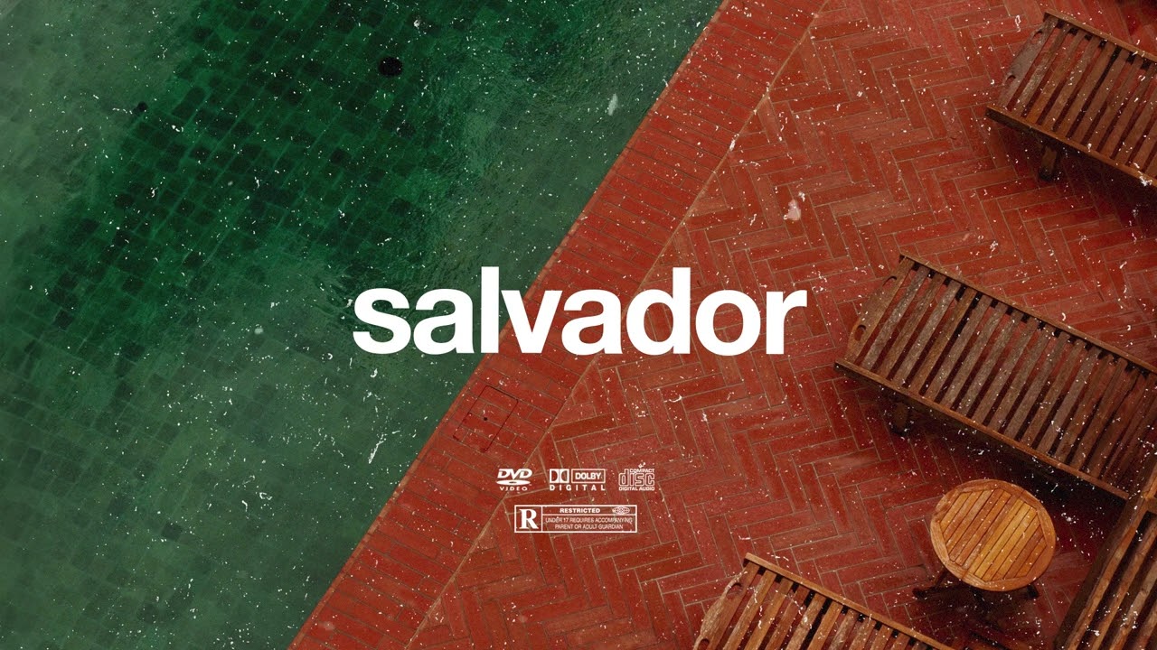 (FREE) | "Salvador" | B Young ft Tayc & Burna Boy Type Beat | Free Beat | Afrobeat Instrumental 2024 2