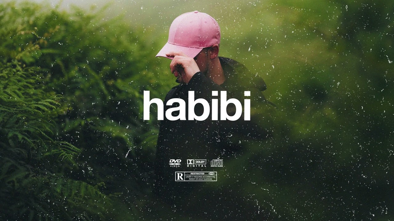 (FREE) | "Habibi" | B Young x Rema x Burna Boy Type Beat | Free Beat | Afrobeat Instrumental 2024 2