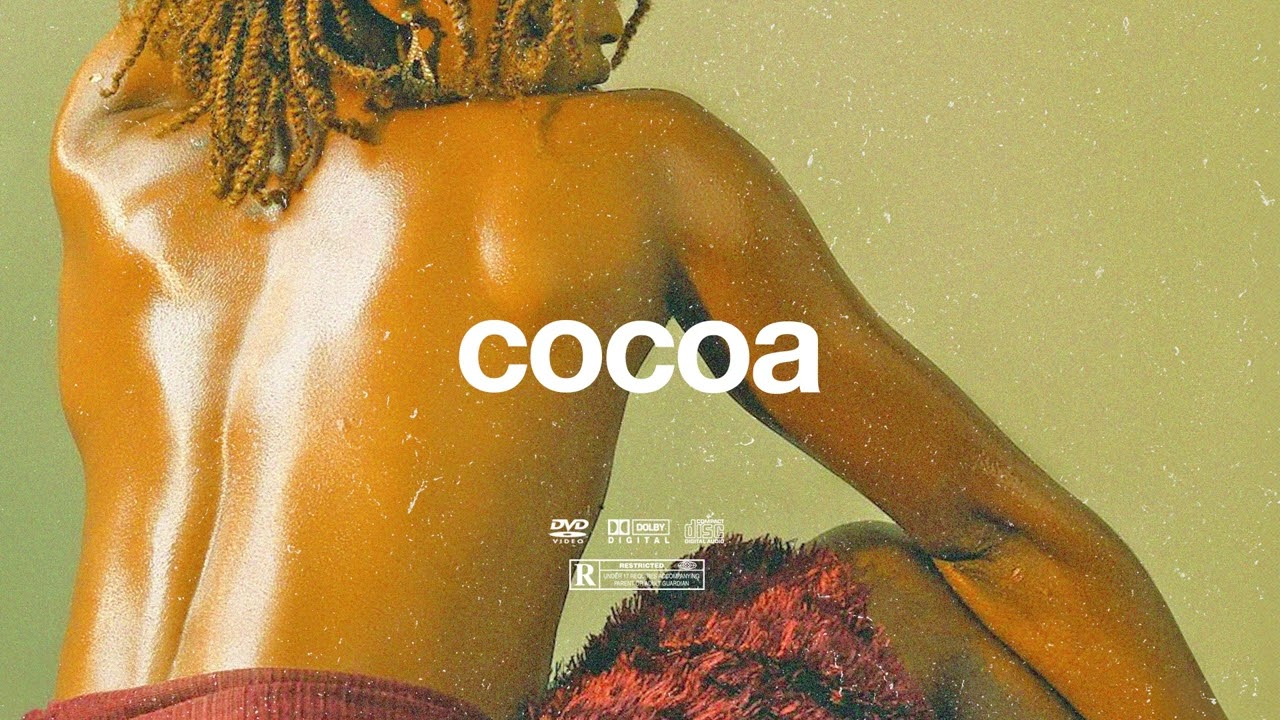 (FREE) | "Cocao" | Rema ft B Young & Omah Lay Type Beat | Free Beat | Afrobeat Instrumental 2024 2