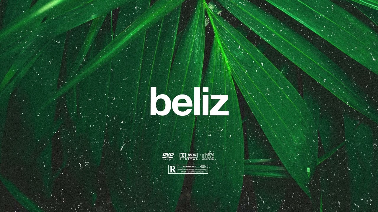 (FREE) | "Beliz" | Swae Lee x Burna Boy x Rema Type Beat | Free Beat | Dancehall Instrumental 2024 2