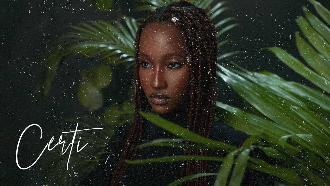 (FREE) | "Afrikana" | Rema x Burna Boy x B Young Type Beat | Free Beat | Afrobeat Instrumental 2025 2