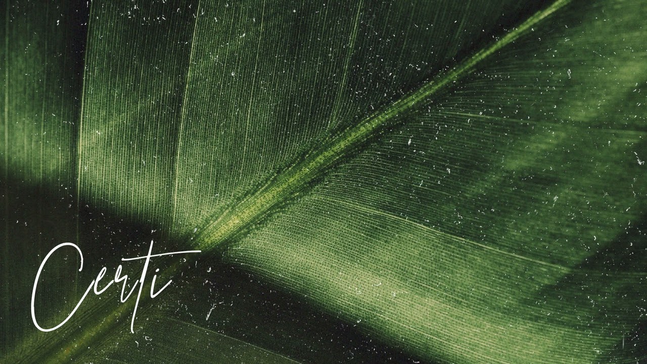 (FREE) | "Care" | Rema x Tems x Tiwa Savage Type Beat | Free Beat | Afrobeat Instrumental 2025 2