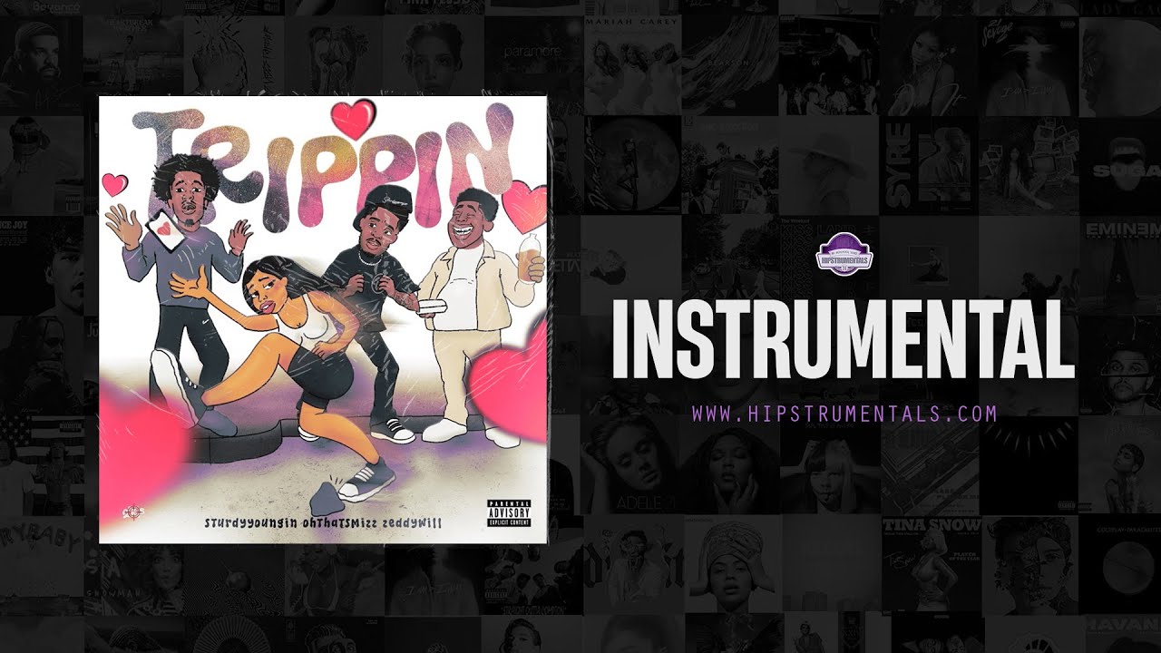 Sturdyyoungin, Ohthatsmizz & Zeddy Will – TRIPPIN [Instrumental] 2