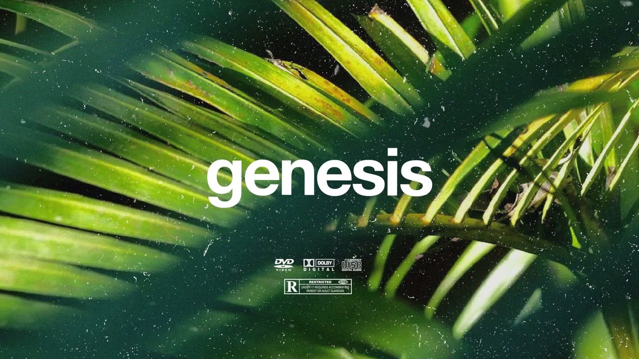 (FREE) | "Genesis" | B Young x Burna Boy x Rema Type Beat | Free Beat | Afrobeat Instrumental 2025 2