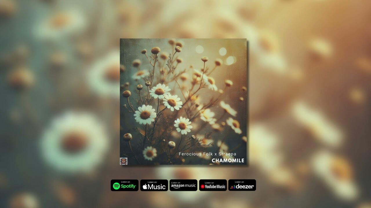 "Chamomile" by Ferocious Folk x Straepa | Chill | Relaxing | Chillhop Study Beats 2025/2026 2