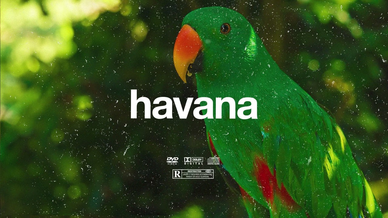 (FREE) | "Havana" | Swae Lee x Rema x Omah Lay Type Beat | Free Beat | Dancehall Instrumental 2025 2