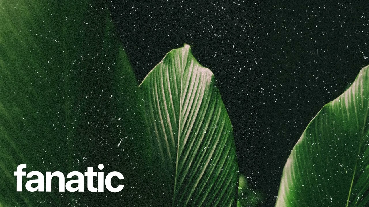 (FREE) | "Fanatic" | Rema x Victony x Tiwa Savage Beat | Free Beat | Afrobeat Instrumental 2025 2