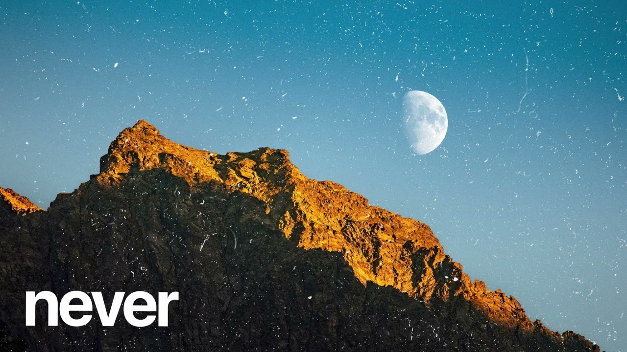 (FREE) | "Never" | Tiwa Savage x Rema x Victony Type Beat | Free Beat | Afrobeat Instrumental 2025 2