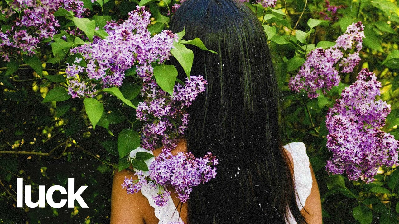 (FREE) | "Luck" | Rema x Victony x B Young Type Beat | Free Beat | Afrobeat Instrumental 2025 2