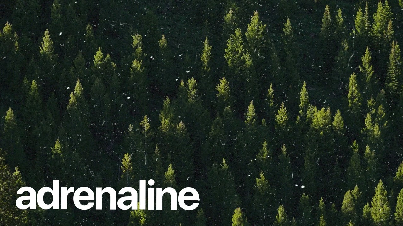 (FREE) | "Adrenaline" | Rema x Victony x Oxlade Type Beat | Free Beat | Afrobeat Instrumental 2025 2