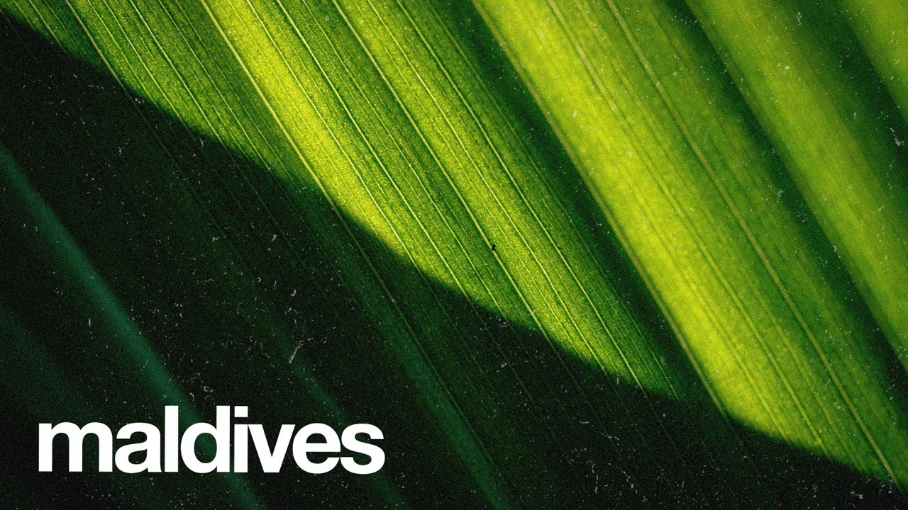 (FREE) | "Maldives" | Omah Lay x Victony x Rema Type Beat | Free Beat | Afrobeat Instrumental 2025 2