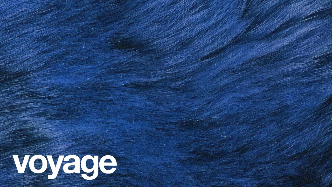 (FREE) | "Voyage" | Burna Boy x Victony x Rema Type Beat | Free Beat | Afrobeat Instrumental 2025 2 (FREE) | "Voyage" | Burna Boy x Victony x Rema Type Beat | Free Beat | Afrobeat Instrumental 2025 2