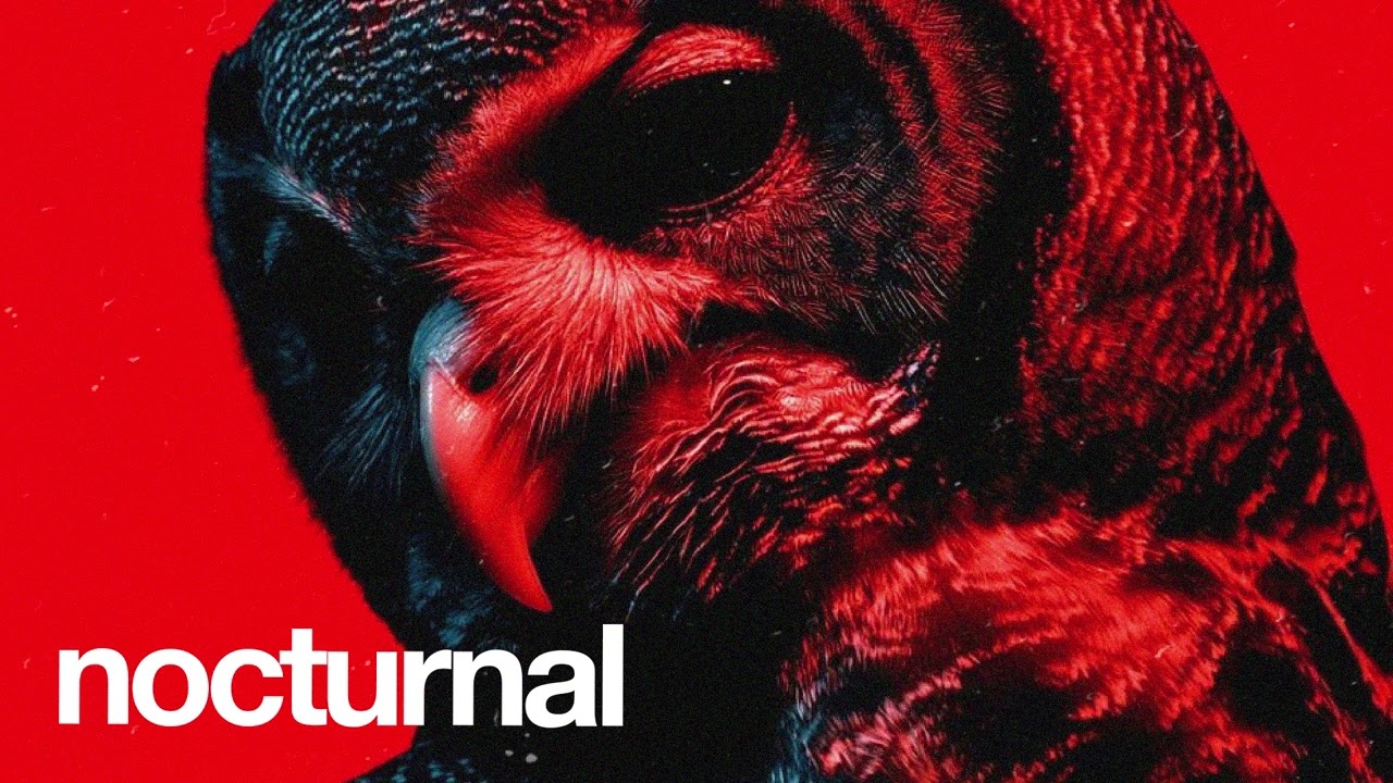(FREE) Afrobeat x Dancehall Type Beat 2025 - "Nocturnal" | Emotional Afrobeat Instrumental 2