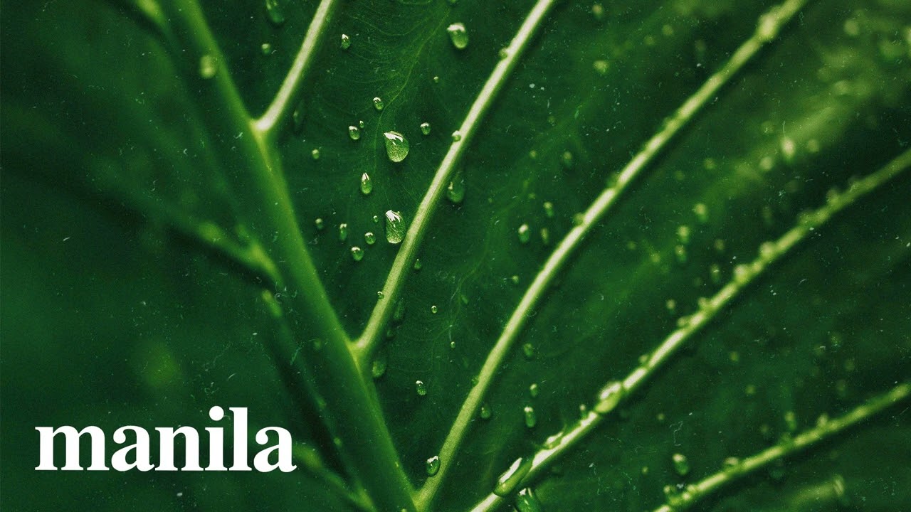 (FREE) Smooth Afrobeat Type Beat 2026 - "Manila" | Smooth Afrobeat x Dancehall Instrumental 2 (FREE) Smooth Afrobeat Type Beat 2026 - "Manila" | Smooth Afrobeat x Dancehall Instrumental 2