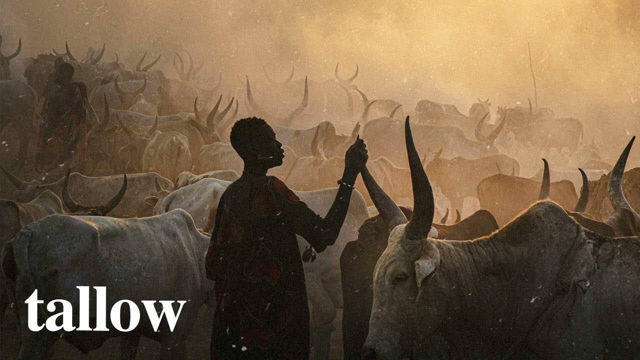 (FREE) Afrobeat Instrumental 2026 | Burna Boy Ft Rema Type Beat "Tallow" Afrobeat Type Beat 2