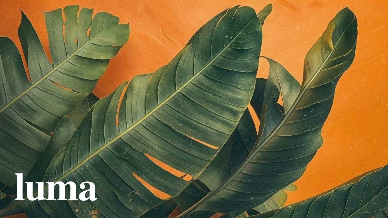 (FREE) Afrobeat Instrumental 2026 | Omah Lay Ft CKay Type Beat "Luma" Afrobeat Type Beat 2