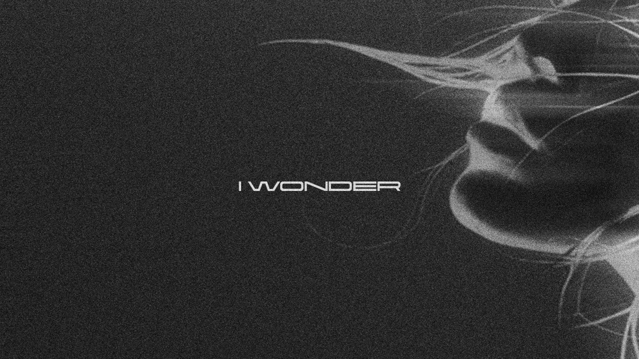 Forgotten - I WONDER 2 Forgotten - I WONDER 2